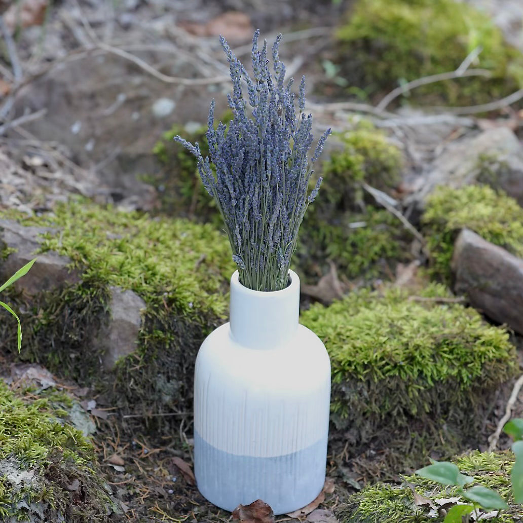 Lavender Bundle